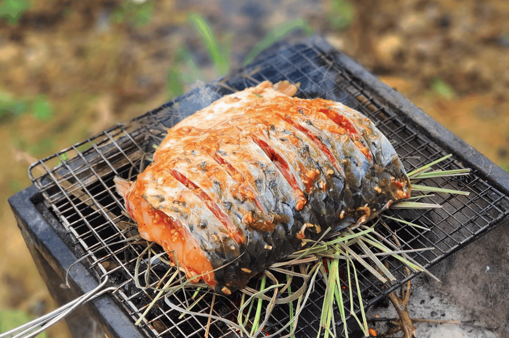 WIT Tour: Trải Nghiệm Thiên Nhiên Tây Bắc Ở Thung Lũng Bướt