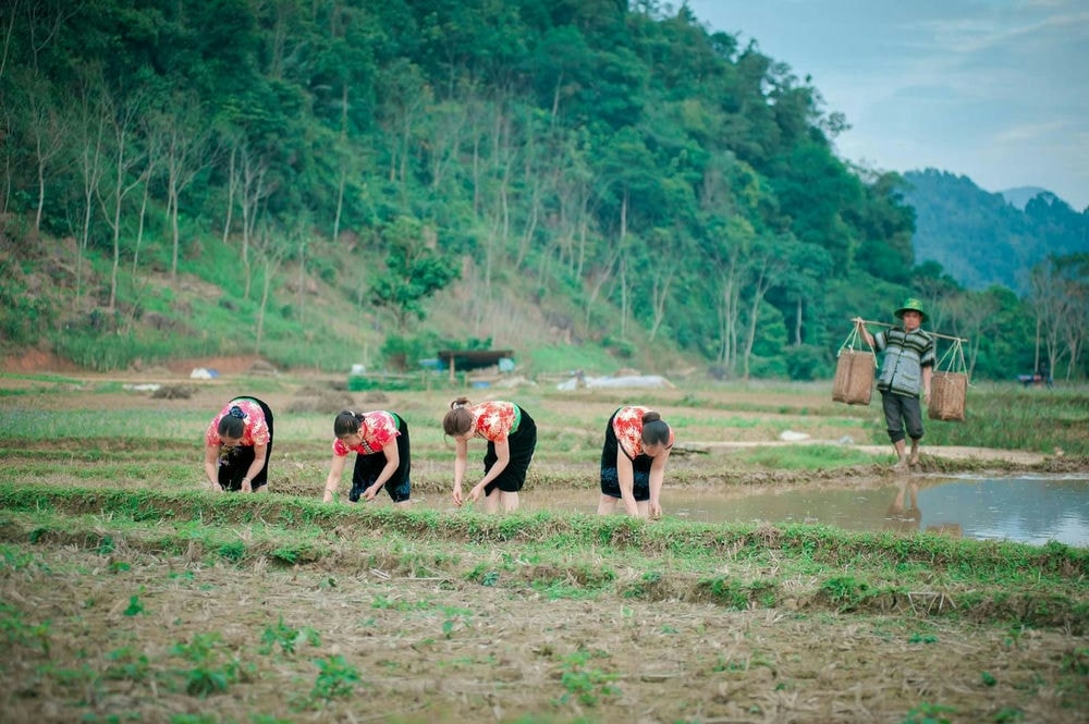 Vân Hồ Agritage