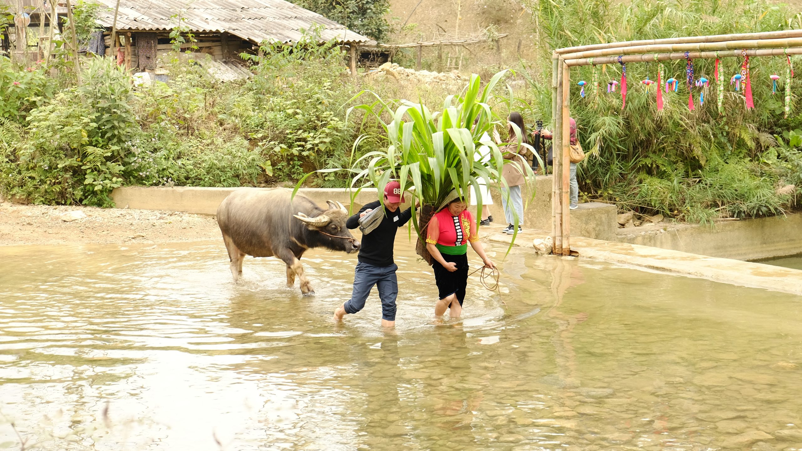 WIT Tour: THUNG LŨNG BƯỚT – HÀNH TRÌNH TRỞ VỀ THIÊN NHIÊN &  VĂN HÓA BẢN ĐỊA