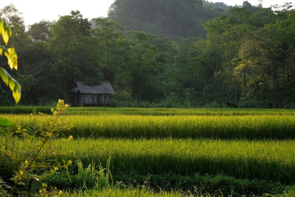 KHÁCH DU LỊCH NÓI VỀ CHÚNG TÔI