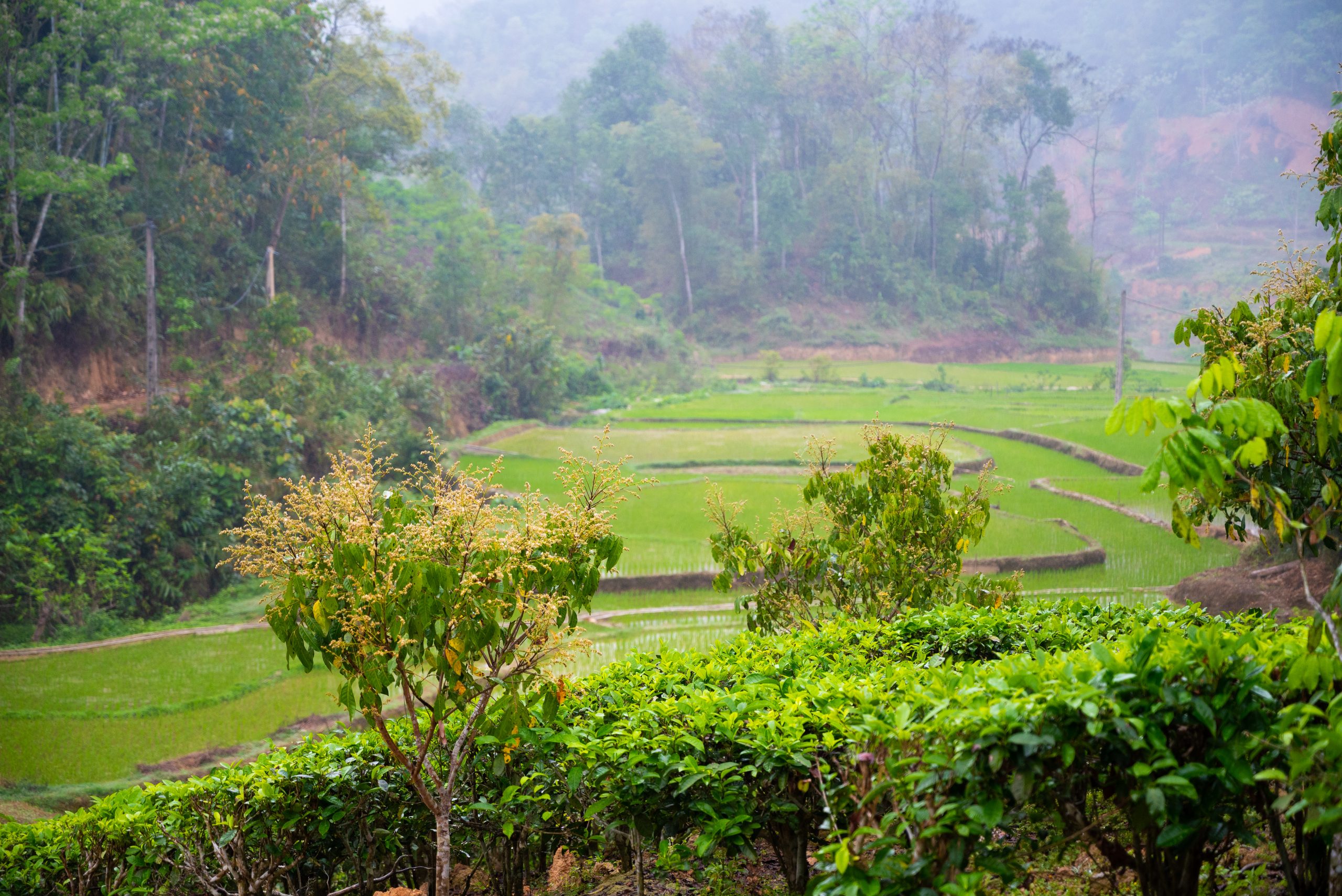 Agritage+ Stilt House (Phu Mau Village)