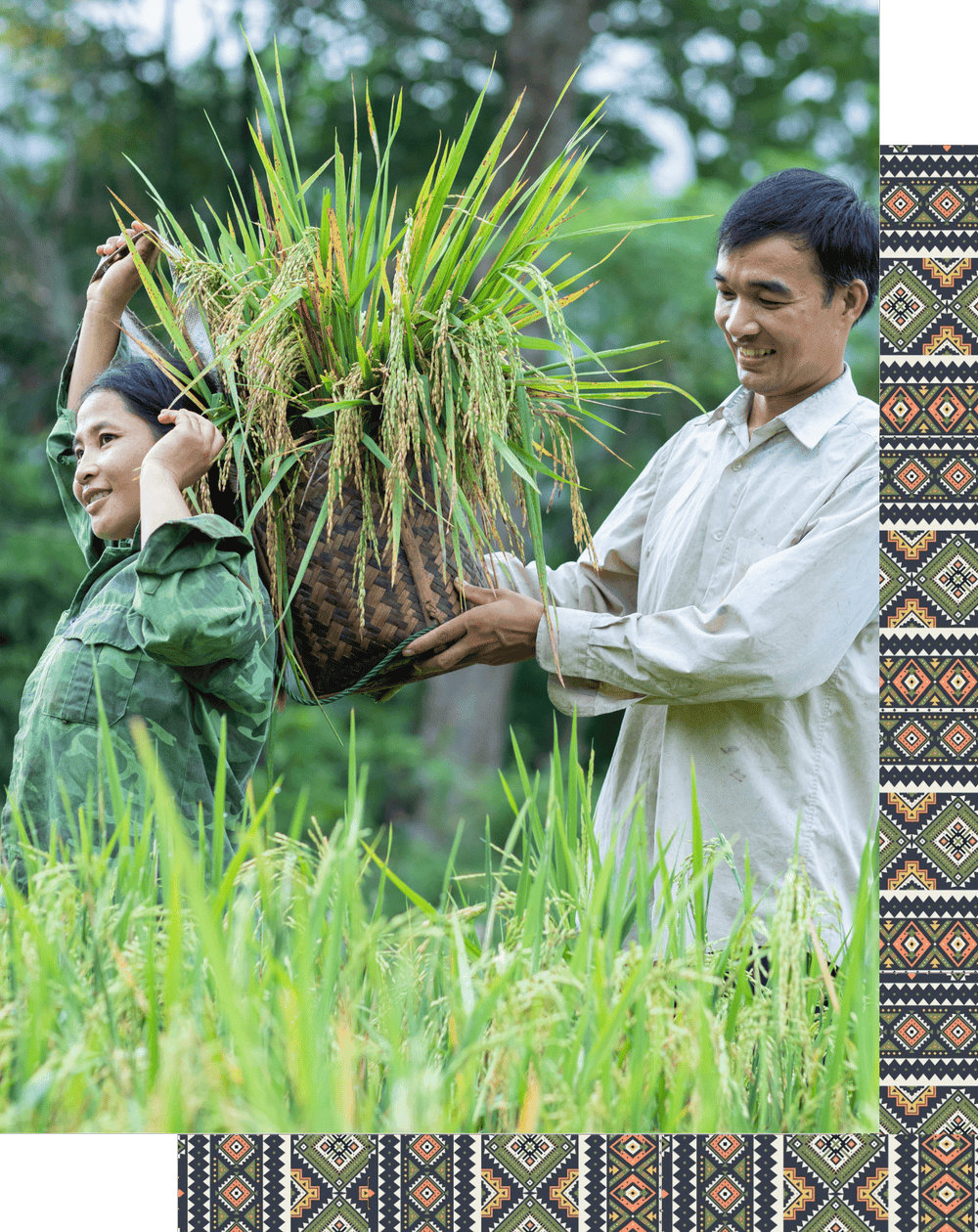 AGRITAGE VIETNAM