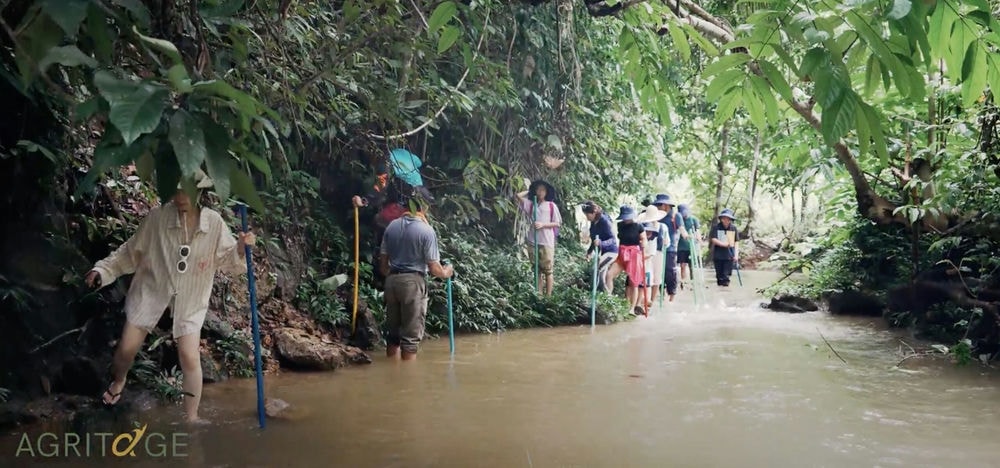 Cách đi suối an toàn