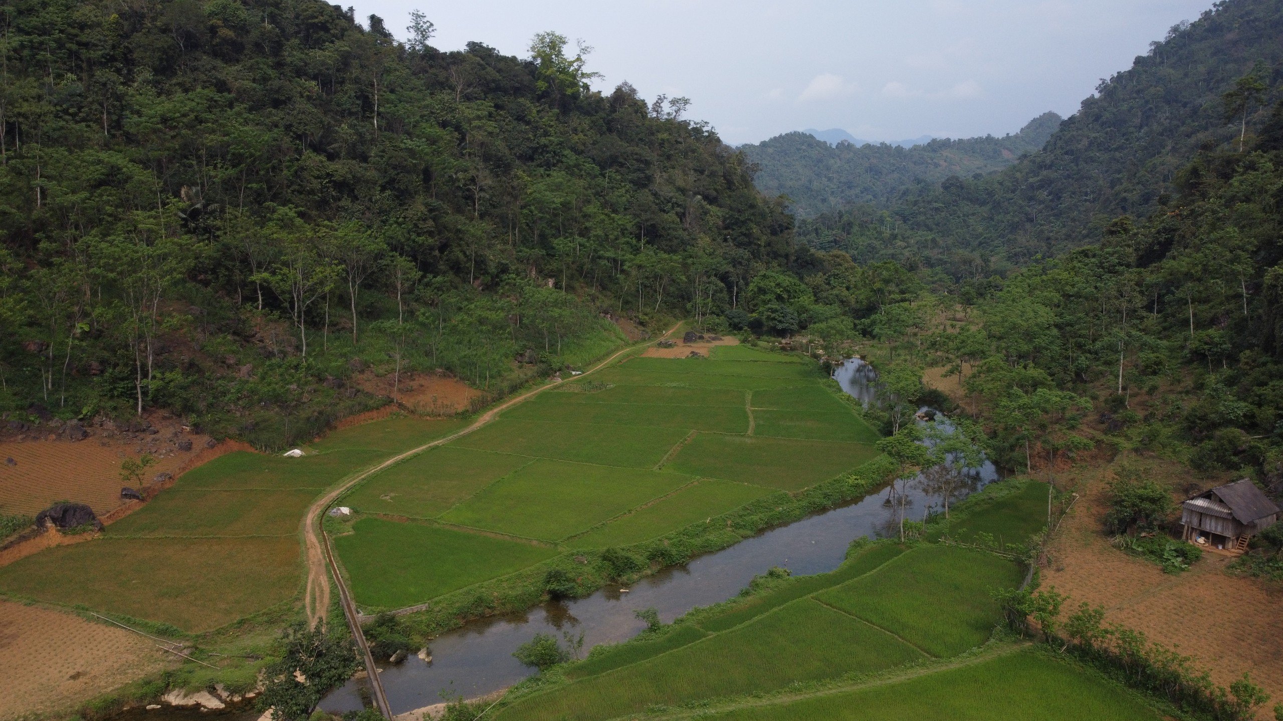 Khi đàn tôm, cá trở về bơi lội tung tăng trên các dòng suối trên bản Bướt