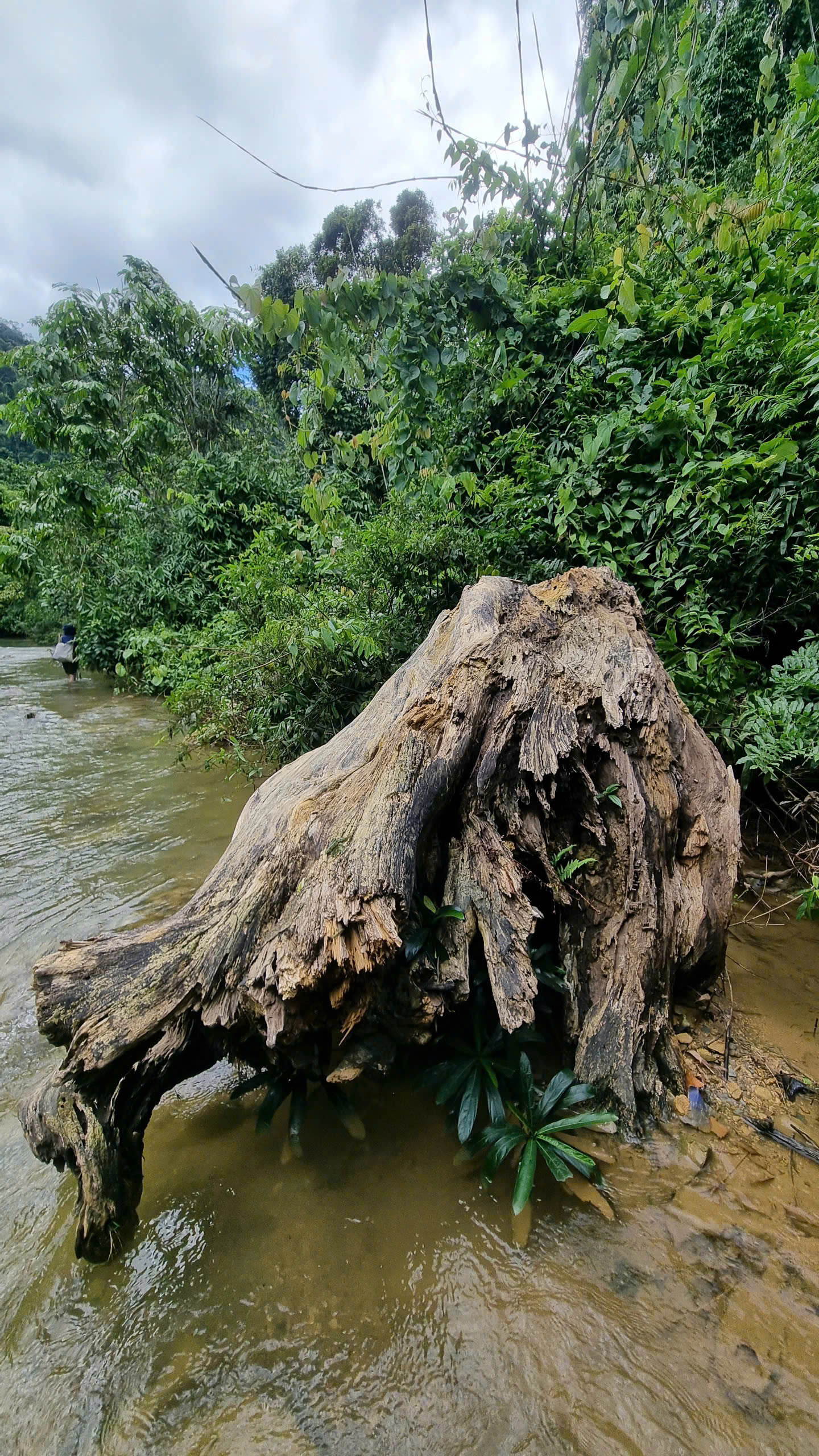 Discover Chiềng Yên: A One-Day Authentic Adventure