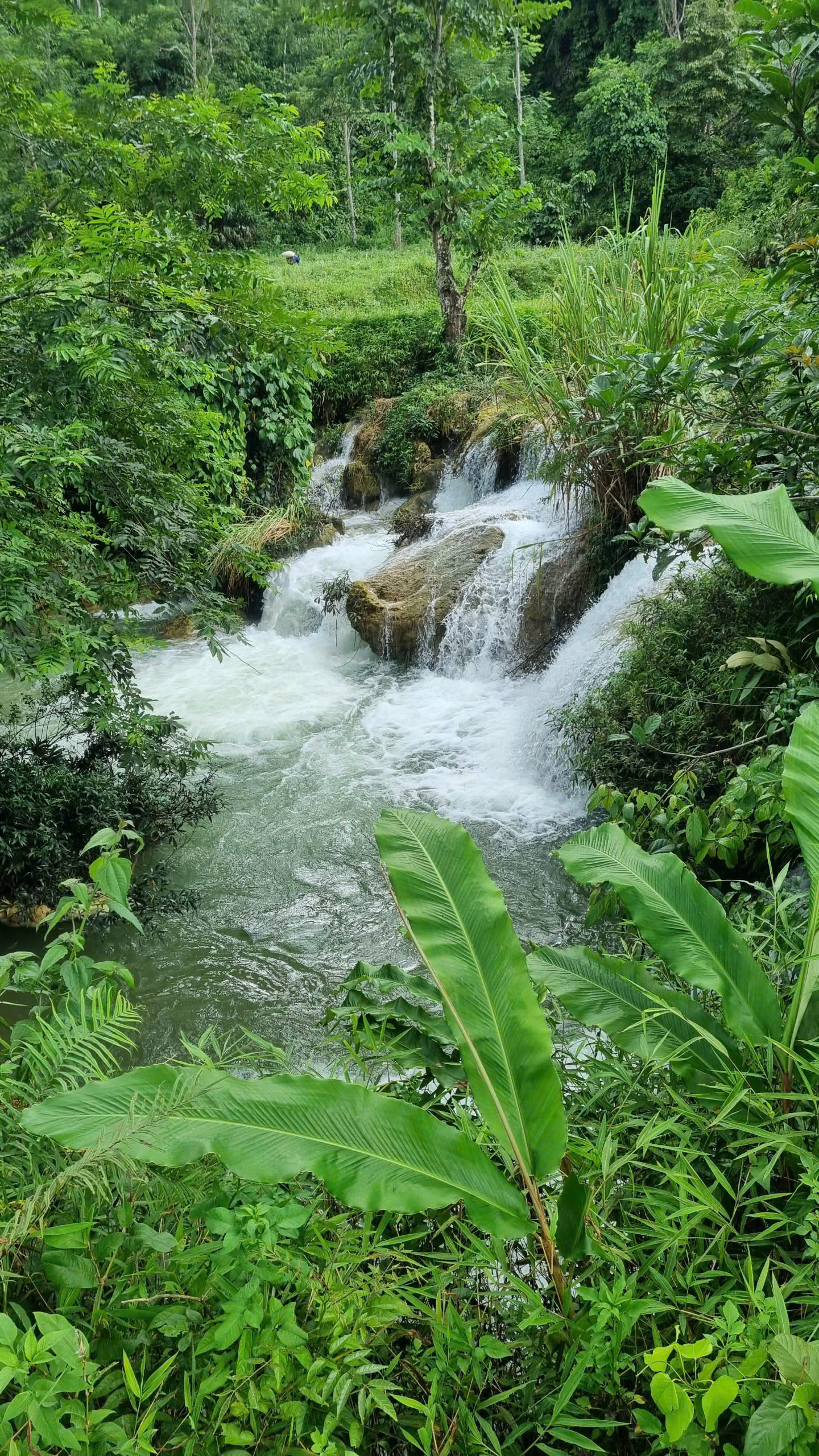 Discover Chiềng Yên: A One-Day Authentic Adventure