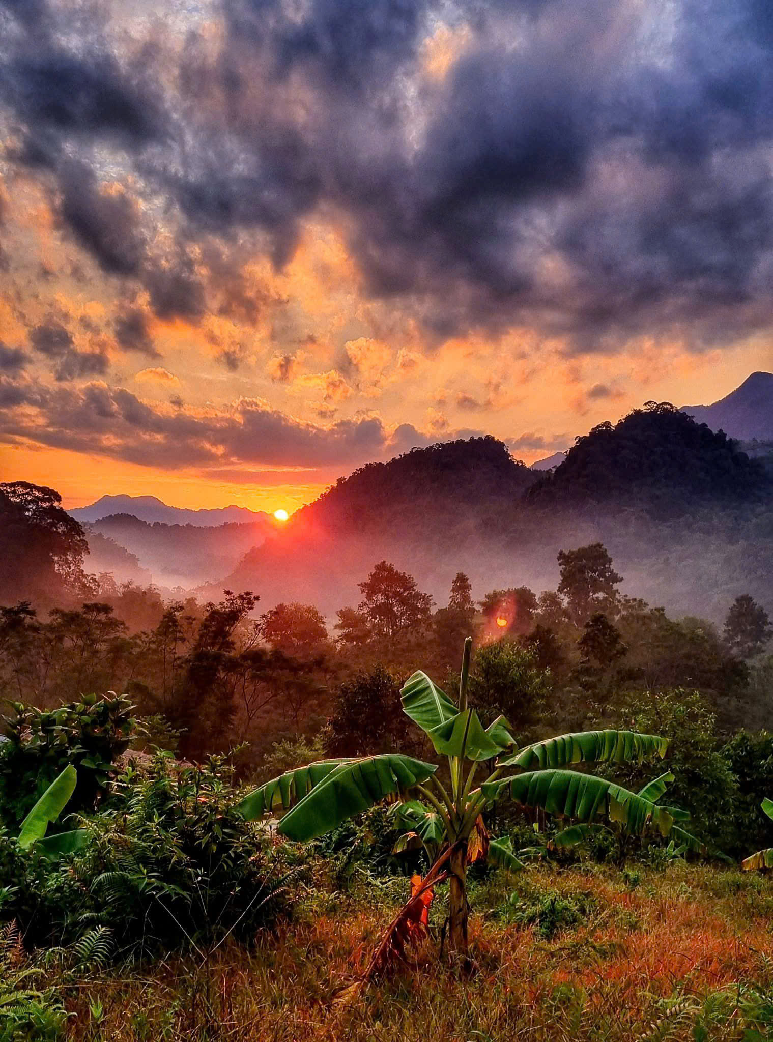 Tour: Chuyện của cánh rừng – Bướt gọi!
