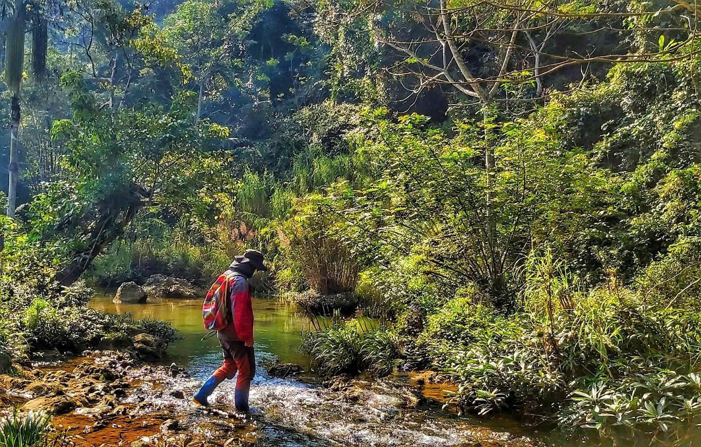 Tour: Chuyện của cánh rừng – Bướt gọi!